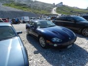 jaguar alle tre cime di lavaredo (4/26)